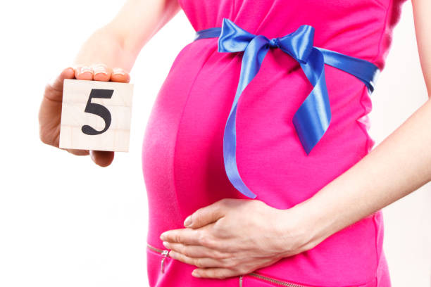 ► Что чувствует будущая мама на 5 месяце беременности? Что происходит с беременной и плодом на 5 месяце?