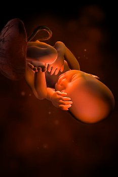 ► Как понять, что у беременной отходят воды перед родами