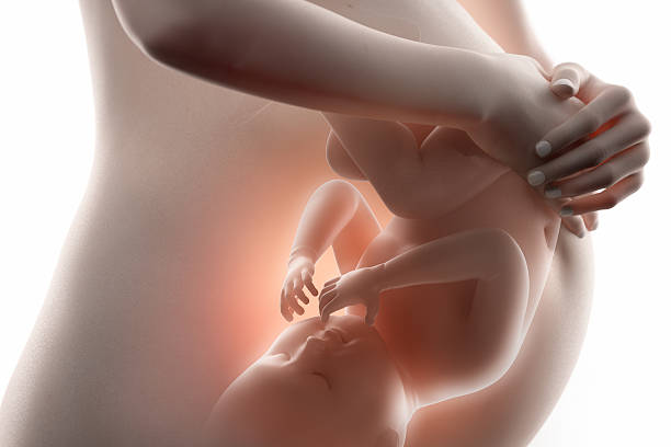 ► Что происходит на 20 неделе беременности с малышом и мамой? Представляем ощущения беременной на 20 неделе от зачатия!
