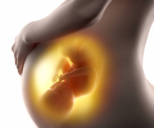 ► Что происходит на 34 неделе беременности с малышом и мамой? Представляем ощущения беременной в 34 недели от зачатия, вес, рост плода!