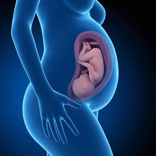 ► Что происходит на 38 неделе с малышом и мамой? Представляем ощущения беременной в 38 недель от зачатия, уже можно рожать!