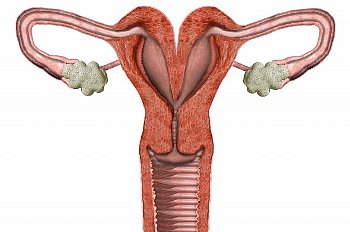 ► Протекание беременности и родоразрешение при двурогой матке
