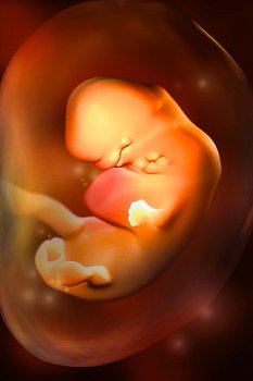 ► Какого цвета околоплодные воды у беременной в норме? Можно ли спутать подтекание амниотической жидкости с мочой?