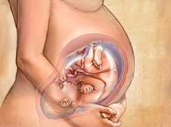 ► беременность и гормоны
