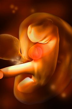 ► Причины и признаки выкидыша на раннем сроке беременности