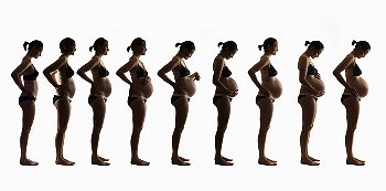 ► С какого срока становится видно живот при беременности? Рассказываем, как растет живот во время беременности, а также почему он твердеет и болит?