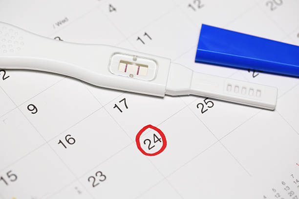 ► 2 неделя беременности: признаки, ощущения