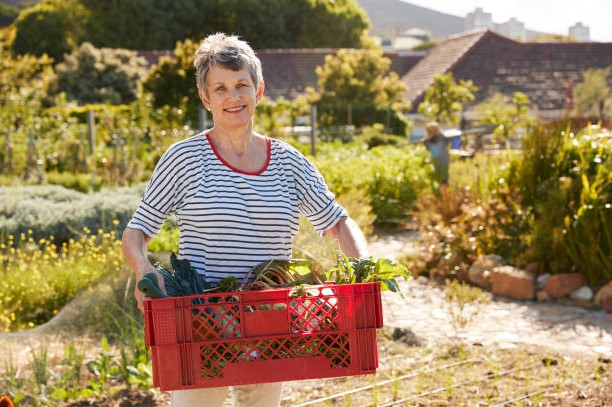 На пенсии можно заняться садоводством