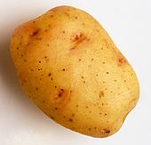 блюда из картофеля