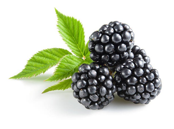 ► Черная малина названа самой полезной ягодой