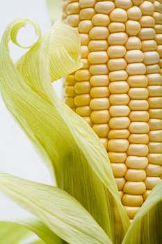 ► Можно ли кормящим матерям есть вареную кукурузу